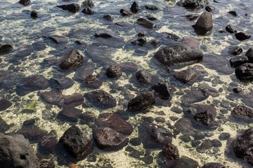 beach pebble stone in the Indian ocean