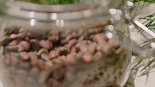 Piece of kitchen interior with a glass can full of cedar nuts and decorated with coniferous tree branch, green cone on cedar.