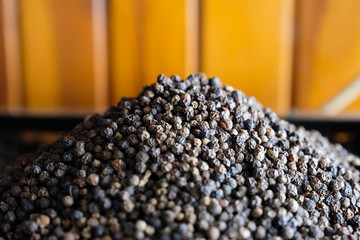 Dried black pepper seeds grains closeup