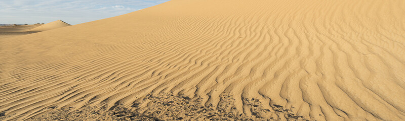 By wind shaped dunes in the White desert
