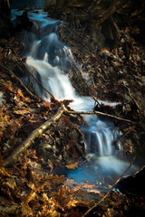 ein kleiner Bach am Waldrand II