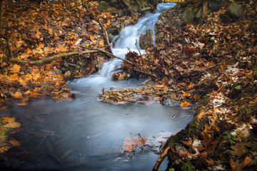 ein kleiner Bach am Waldrand I