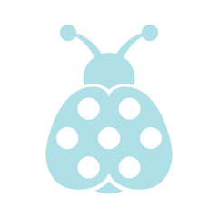  beetle on white background