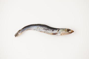 Fototapeta premium めざし 鰯 イワシ 魚の干物 焼き 白背景