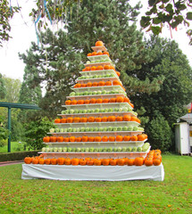 Installation in the Park.