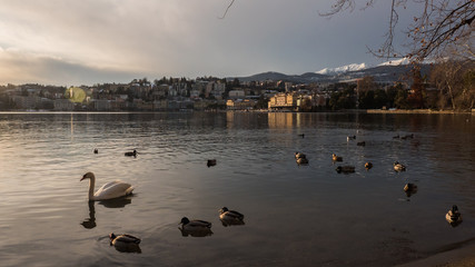 Luganolake