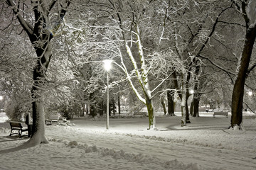 A snow-covered city park at night. Winter.
City at night.