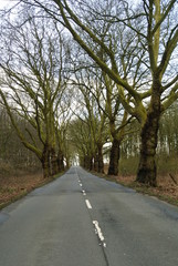 Allee in Dortmund Bodelschwingh