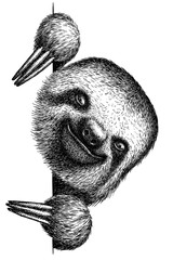 black and white engrave isolated sloth illustration © Turaev