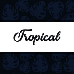 tropical flowers background