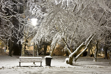 A snow-covered city park at night. Winter.
City at night.