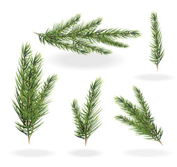 Christmas tree branches set. spruce fir-tree. Branches of a fir tree isolated vector illustration on a white background - obrazy, fototapety, plakaty