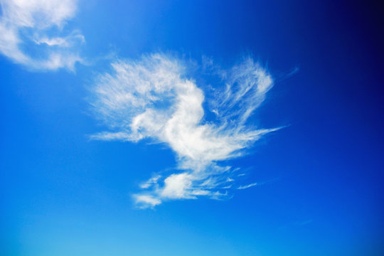 Clouds in the shape of a bird on a Sunny sky.
