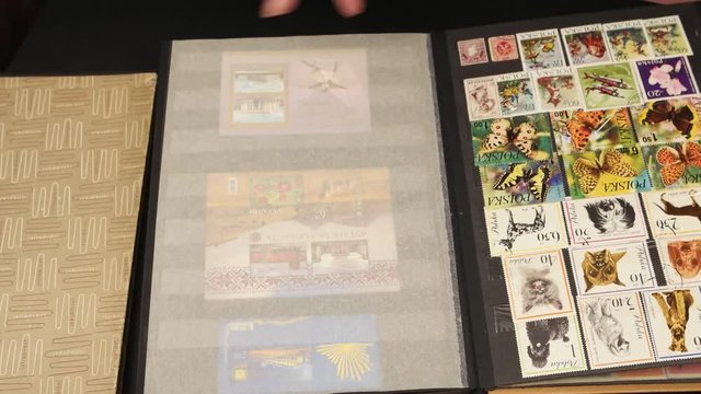 Collector philatelist takes  an album with postage stamps from the case, leafs through it and looks at the  stamps