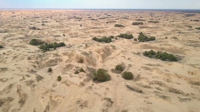 Aerial survey of the desert with some sparse vegetation (4K, 25fps)