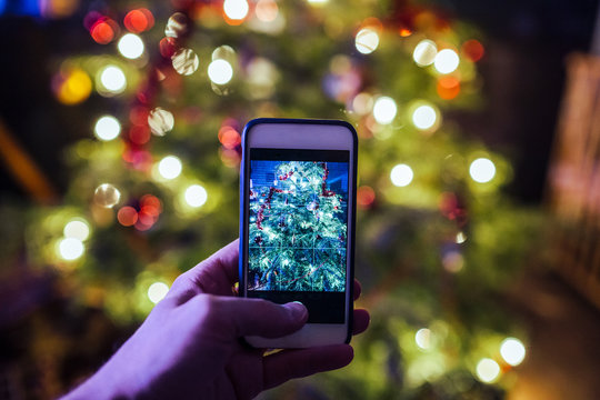 Christmas tree smartphone photo