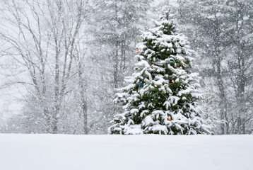 Hilltop Christmas Tree