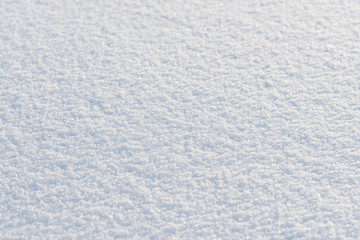 Winter white snow background