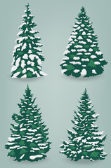 Snow trees set on isolated background. Christmas tree. Vector