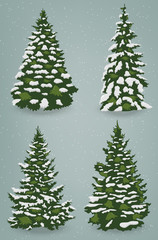 Snow trees set on isolated background. Christmas tree. Vector