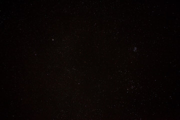 Blue dark night sky with many stars above field of trees