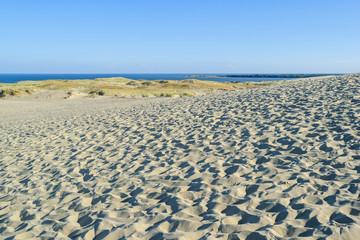 Fototapeta na wymiar Clear sky over Curonian Spit dunes