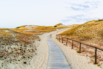 Fototapeta na wymiar Pathway to gray dunes in Curonian Spit, Lithuania
