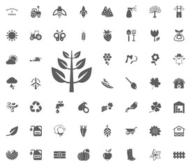 Branch icon. Gardening and tools vector icons set