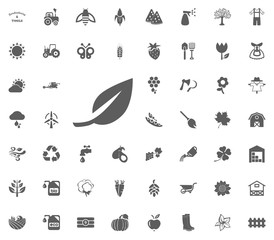 Leave icon. Gardening and tools vector icons set