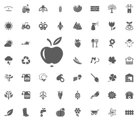 Apple icon. Gardening and tools vector icons set