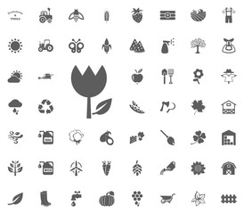 Tulip icon. Gardening and tools vector icons set