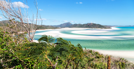 in australia the beach  like paradise