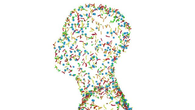 Microbiome , microorganisms, bacteria, viruses, microbes crawling , reproducing, multiplying , living on human head.3d animation. White background