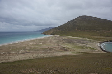 The Neck on Saunders Island in the Falkland Islands; home to multiple colonies of Gentoo Penguins...