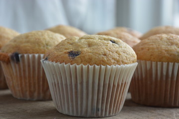 cupcake with blueberry