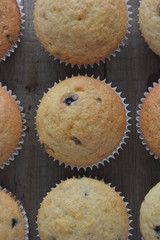 Obraz na płótnie Canvas cupcake with blueberry
