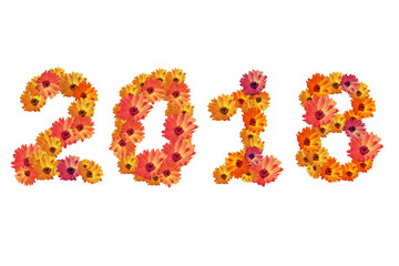 Numeral 2018 from  flowers, isolated on white background