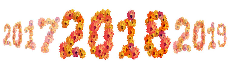 Numeral 2018 from  flowers, isolated on white background
