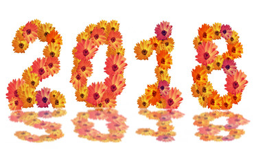 Numeral 2018 from  flowers, isolated on white background