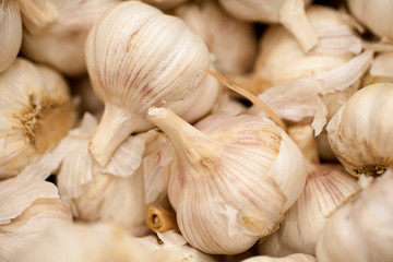 garlic, Fresh garlic - Red garlic, Garlic group background, Garlic cloves background