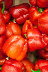 colorful bell peppers, natural background