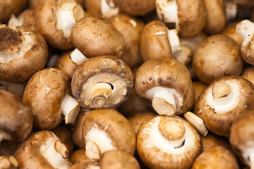 Fresh champignons. Champignon mushrooms background for sale