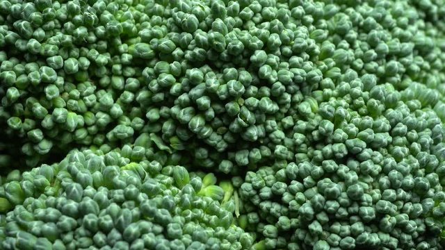 Detail of Broccoli in rotation