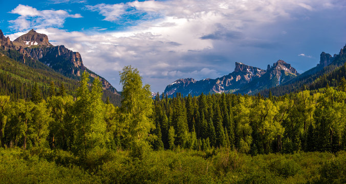 Uncompahgre National Forest