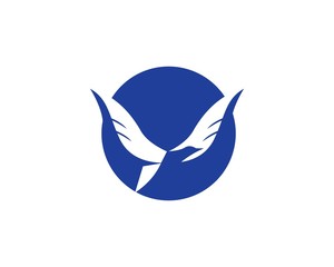 Bird wing Logo Template