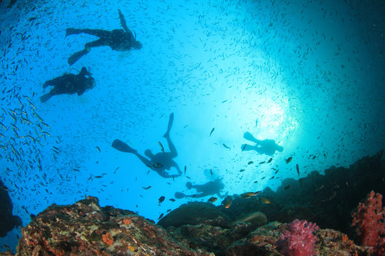 Scuba divers exploring coral reef