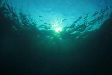 Fototapeta na wymiar Underwater blue background