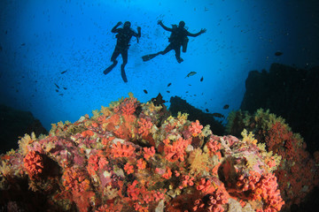 Scuba divers exploring coral reef