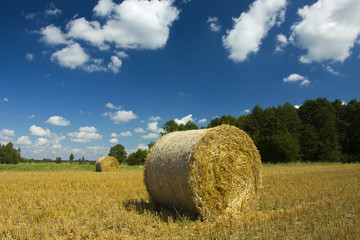 Big circle of hay on the field in front of the forest