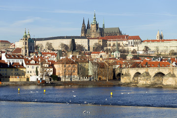 Naklejka na ściany i meble View on the winter Prague gothic Castle with the Charles Bridge in the sunny Day, Czech Republic